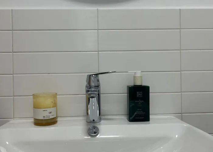 Herastrau Aviatiei Park